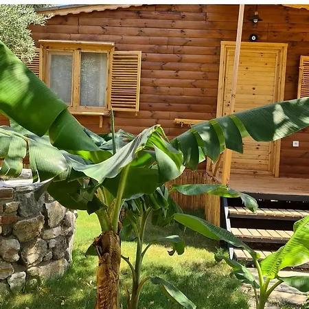 Derin Tas-bungalow Datça